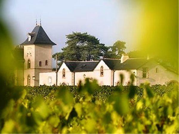 Domaine De La Soucherie - Chambres D'Hotes Beaulieu-sur-Layon Екстер'єр фото