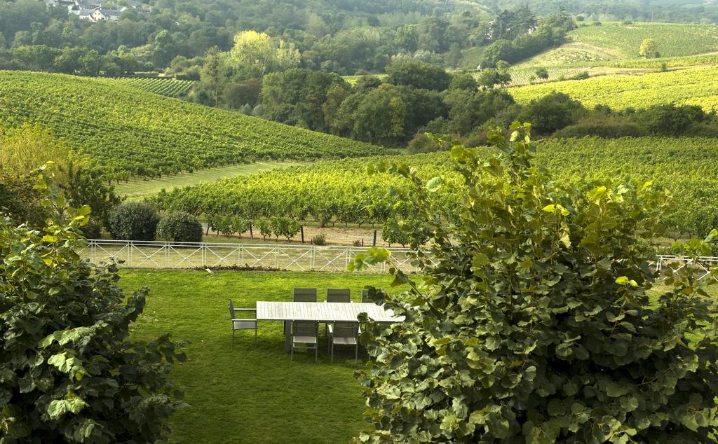 Domaine De La Soucherie - Chambres D'Hotes Beaulieu-sur-Layon Екстер'єр фото